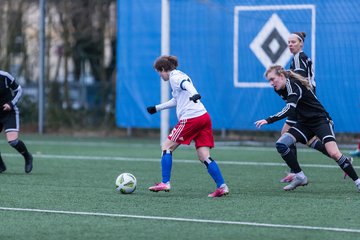 Bild 107 - wBJ HSV - F VfL Jesteburg : Ergebnis: 6:1